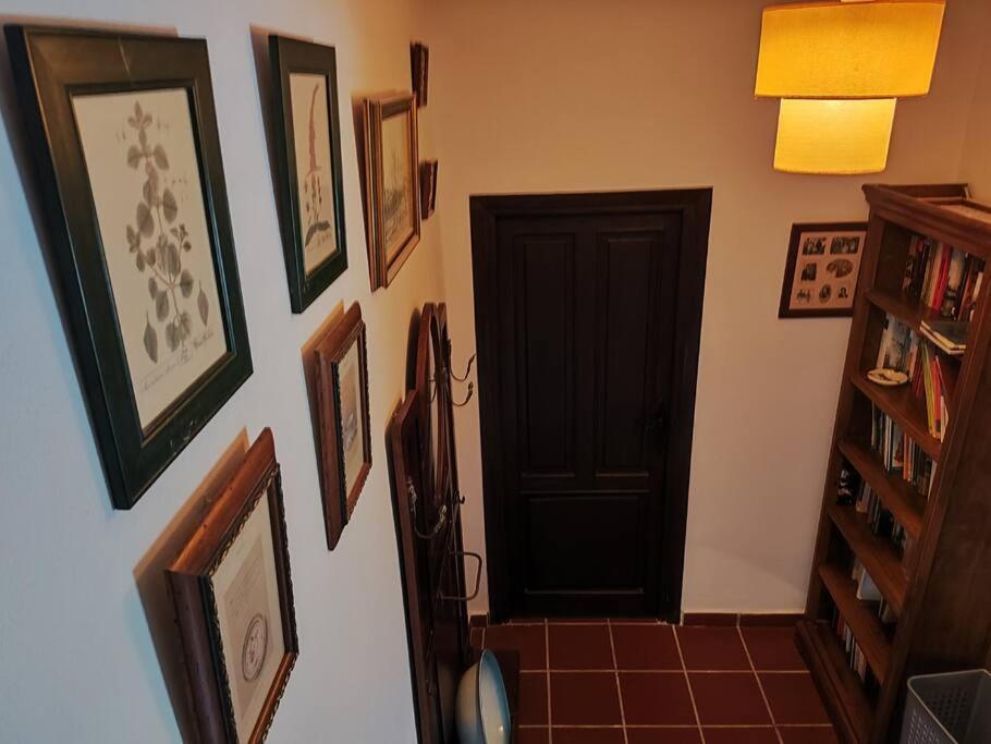 Casa En El Valle De Guainosaltos Адра Екстериор снимка