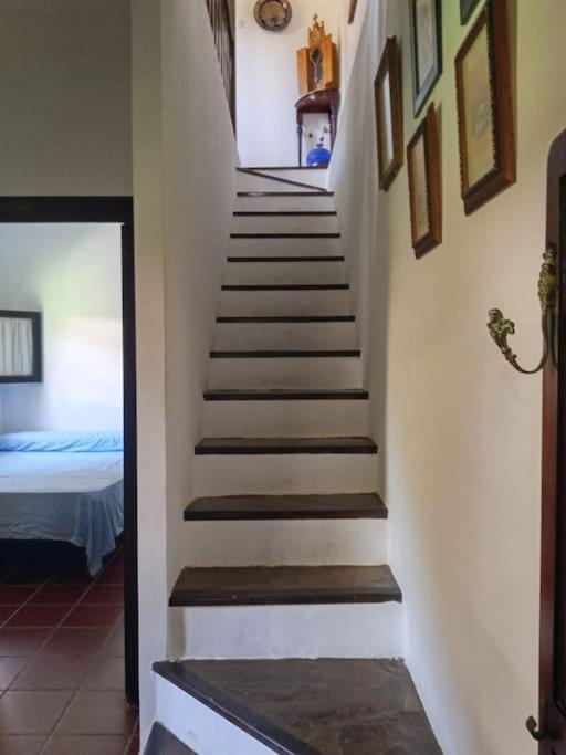 Casa En El Valle De Guainosaltos Адра Екстериор снимка