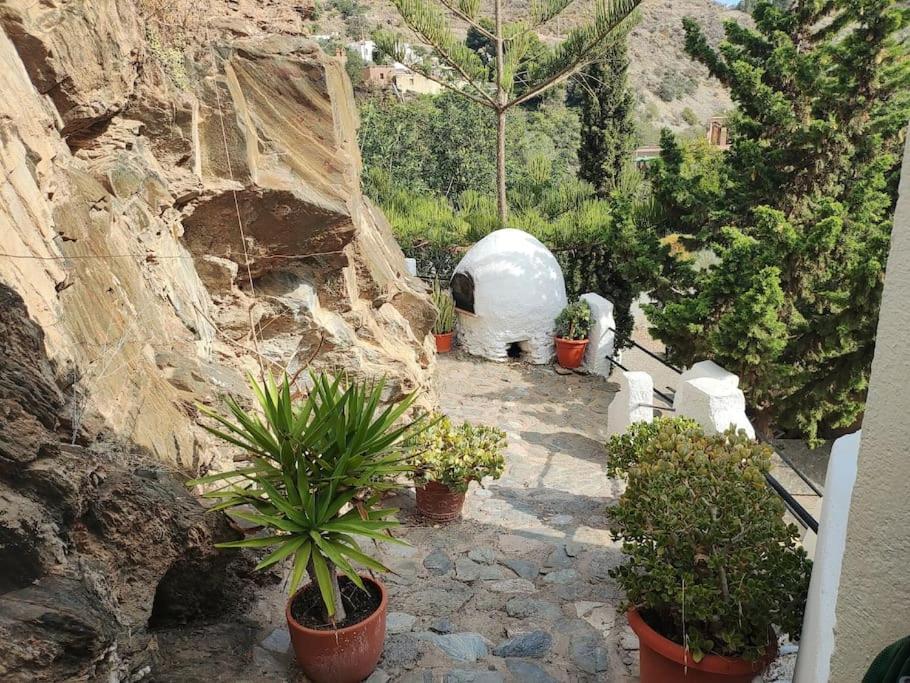Casa En El Valle De Guainosaltos Адра Екстериор снимка